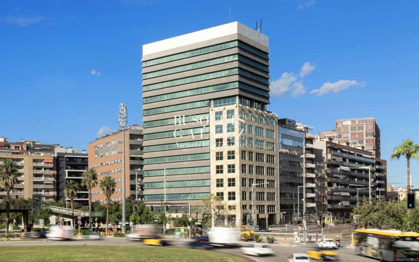 Oficina en alquiler Torre Cerdà