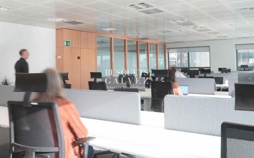 Oficina en alquiler Torre Cerdà