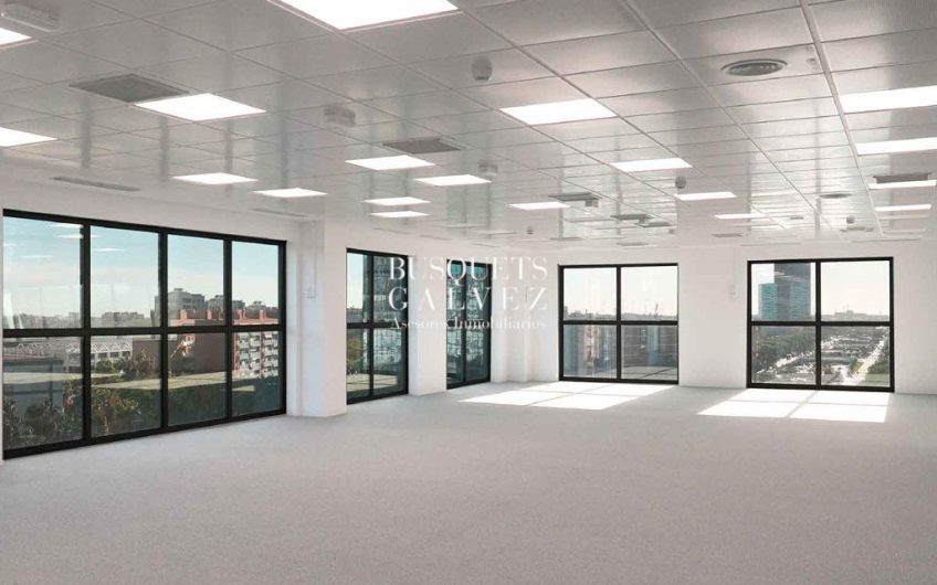 Oficina en alquiler Torre Cerdà