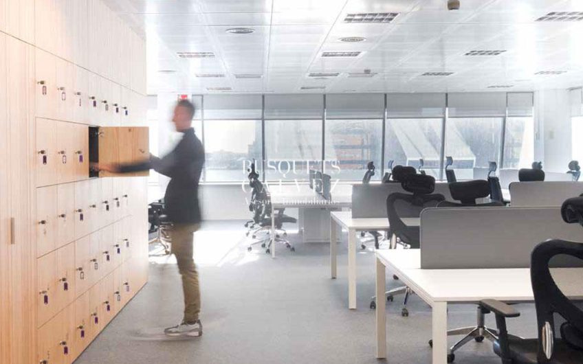 Oficina en alquiler Torre Cerdà