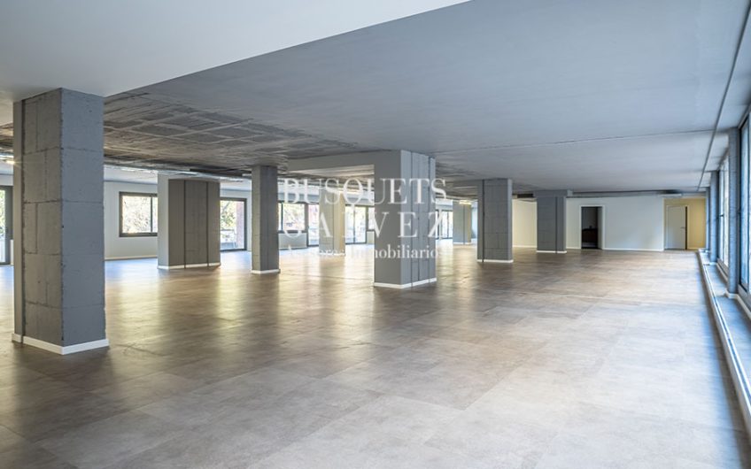 Oficinas en alquiler en Avda. Roma