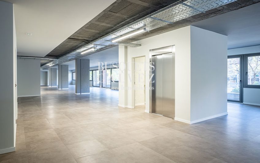 Oficinas en alquiler en Avda. Roma