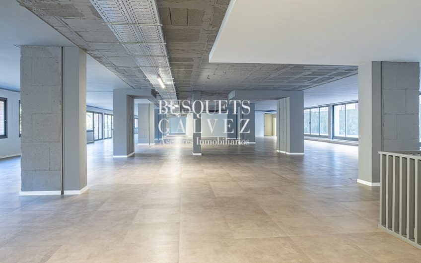 Oficinas en alquiler en Avda. Roma