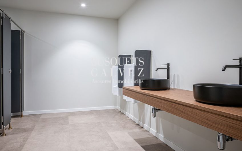 Oficinas en alquiler en Avda. Roma