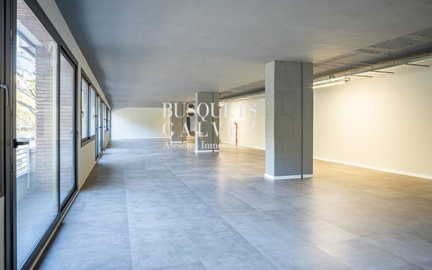 Oficinas en alquiler en Avda. Roma