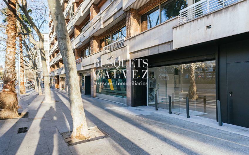 Oficinas en alquiler en Avda. Roma